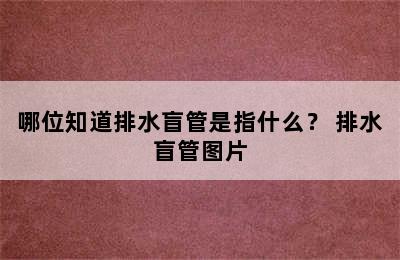 哪位知道排水盲管是指什么？ 排水盲管图片